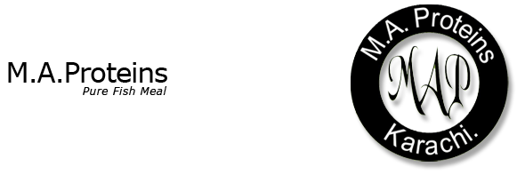 MA Oil